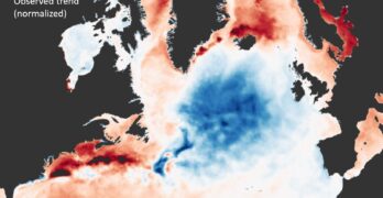 Satellite sea surface temperature map, showing the fingerprint of AMOC weakening