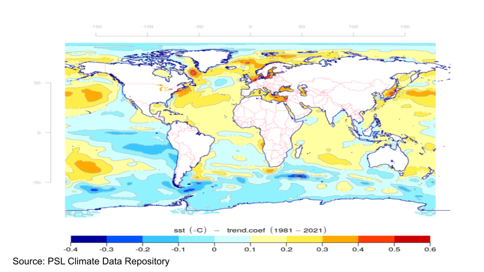 Trends in sea surface temperature