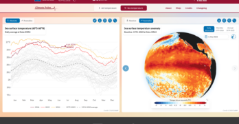 Screen dump from https://pulse.climate.copernicus.eu