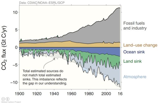 ocean as an important carbon sink